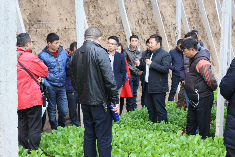 在盆栽蔬菜溫室，李軍老師給十二期學員講解盆栽蔬菜技術