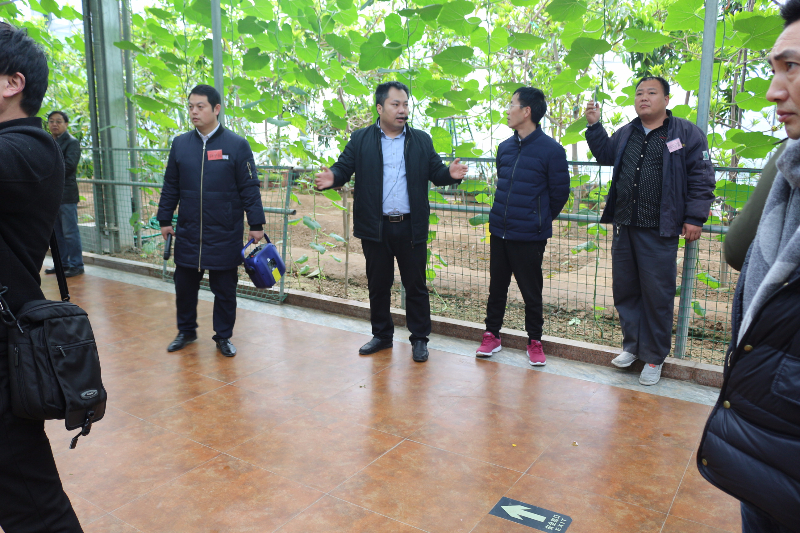 在參觀的間隙，李軍老師和十四期學(xué)員聚在一起，講解無土栽培的技術(shù)