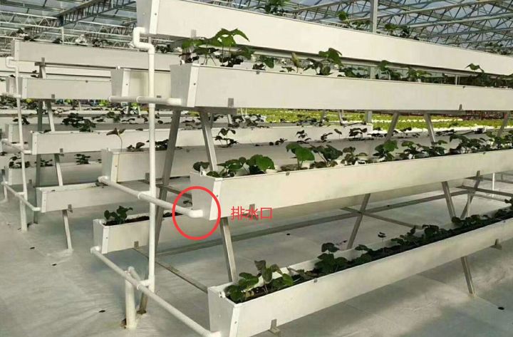 無土栽培椰糠種植排水口設計.jpg