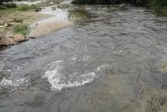 水質要求.jpg