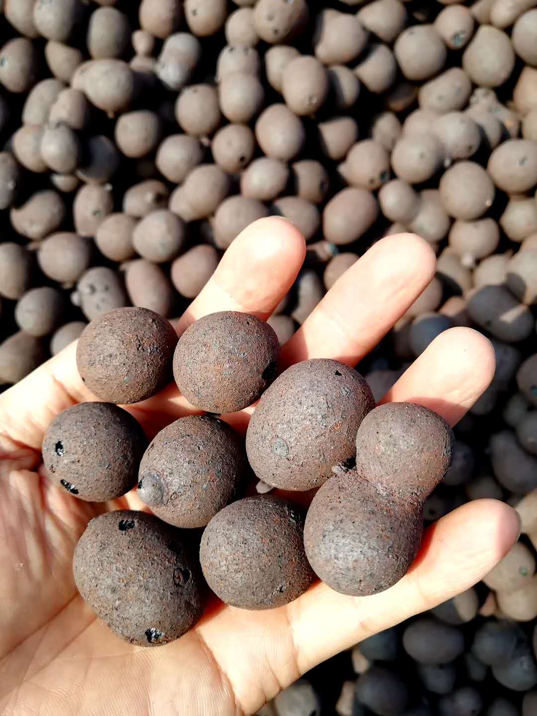無(wú)土栽培基質(zhì)--陶粒.jpg